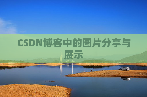 CSDN博客中的图片分享与展示